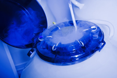 Cryogenic (Cryo)
Transports